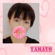 ヒメ日記 2026/04/10 07:03 投稿 草刈たまよ 麗しいマダム