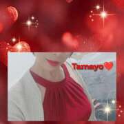 ヒメ日記 2026/04/22 17:22 投稿 草刈たまよ 麗しいマダム