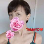 ヒメ日記 2026/04/24 09:59 投稿 草刈たまよ 麗しいマダム