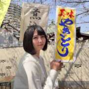 ヒメ日記 2025/04/15 16:15 投稿 のぞみ 若葉