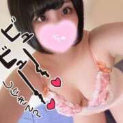 ヒメ日記 2025/06/11 20:15 投稿 のぞみ 若葉