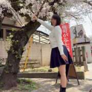 ヒメ日記 2025/06/12 15:16 投稿 のぞみ 若葉