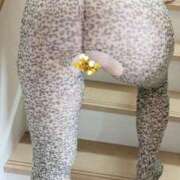 ヒメ日記 2025/05/19 09:09 投稿 くれは 奥様の実話 梅田店