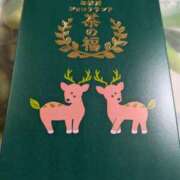 ヒメ日記 2025/11/11 21:08 投稿 くれは 奥様の実話 梅田店