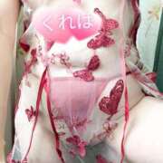 ヒメ日記 2026/01/19 11:53 投稿 くれは 奥様の実話 梅田店