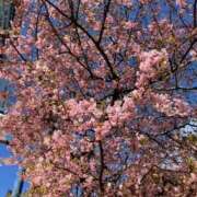 ヒメ日記 2025/03/23 07:54 投稿 ほたる 泡の伝道師