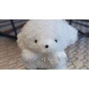 ヒメ日記 2025/07/21 11:40 投稿 桜木 桃（さくらぎ もも） NOA（ノア）