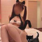 ヒメ日記 2025/07/25 00:43 投稿 桜木 桃（さくらぎ もも） NOA（ノア）