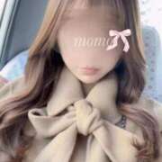 ヒメ日記 2026/03/10 23:12 投稿 桜木 桃（さくらぎ もも） NOA（ノア）