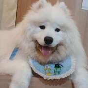 ヒメ日記 2026/08/04 17:31 投稿 たまご とある風俗店♡やりすぎさーくる新宿大久保店♡で色んな無料オプションしてみました