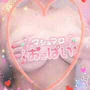 ヒメ日記 2025/02/23 17:26 投稿 のあ 熟女の風俗最終章 蒲田店