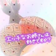 ヒメ日記 2025/05/23 08:30 投稿 のあ 熟女の風俗最終章 蒲田店