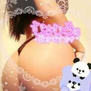 ヒメ日記 2025/06/01 07:20 投稿 のあ 熟女の風俗最終章 蒲田店