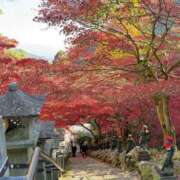 ヒメ日記 2024/12/21 20:22 投稿 りず One More奥様　町田相模原店