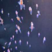 みと 久しぶりの水族館！！ Hip's-group越谷本店