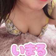 ヒメ日記 2026/02/17 10:30 投稿 いまる 池袋本気AF専門店AF革命絶頂アクメ