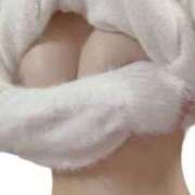 ヒメ日記 2025/04/07 12:51 投稿 かるあ スピードエコ京橋店