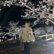 ヒメ日記 2025/04/14 13:01 投稿 かるあ スピードエコ京橋店