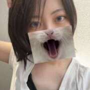 ヒメ日記 2025/08/09 18:50 投稿 まいん 京都出張メンズエステChou Chou（シュシュ)