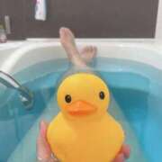 ヒメ日記 2025/08/01 08:01 投稿 せな 成田人妻花壇