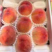 ヒメ日記 2025/07/01 12:52 投稿 リエル Evolution 2nd