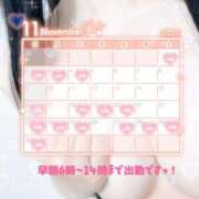 ヒメ日記 2025/11/01 04:45 投稿 リエル Evolution 2nd