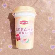 ヒメ日記 2025/11/01 06:02 投稿 リエル Evolution 2nd