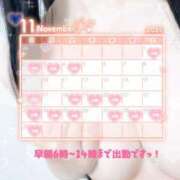 ヒメ日記 2025/11/02 05:42 投稿 リエル Evolution 2nd