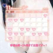 ヒメ日記 2025/11/11 03:32 投稿 リエル Evolution 2nd