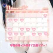 ヒメ日記 2025/11/14 00:52 投稿 リエル Evolution 2nd