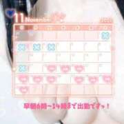 ヒメ日記 2025/11/18 04:52 投稿 リエル Evolution 2nd