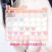 ヒメ日記 2025/11/18 20:43 投稿 リエル Evolution 2nd