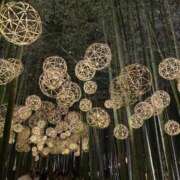 ヒメ日記 2025/11/19 10:22 投稿 リエル Evolution 2nd