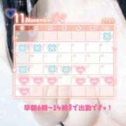 ヒメ日記 2025/11/19 20:54 投稿 リエル Evolution 2nd