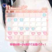 ヒメ日記 2025/11/20 21:32 投稿 リエル Evolution 2nd