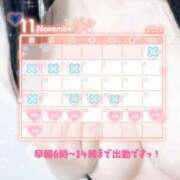 ヒメ日記 2025/11/22 22:32 投稿 リエル Evolution 2nd