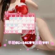 ヒメ日記 2025/12/18 20:13 投稿 リエル Evolution 2nd