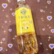 ヒメ日記 2025/12/22 06:02 投稿 リエル Evolution 2nd