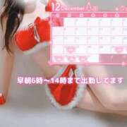 ヒメ日記 2025/12/23 20:52 投稿 リエル Evolution 2nd