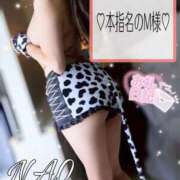 ヒメ日記 2025/12/13 15:31 投稿 有馬 奈央 超LEXUS