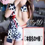 ヒメ日記 2026/01/31 07:11 投稿 有馬 奈央 超LEXUS