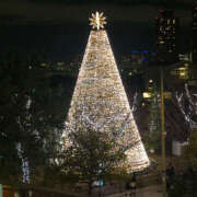 ヒメ日記 2024/12/20 13:35 投稿 すい ハピネス東京