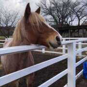 ヒメ日記 2025/12/27 08:07 投稿 すい ハピネス東京