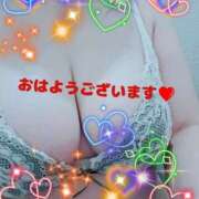 ヒメ日記 2025/04/28 10:08 投稿 あやな 奥さまさくら京橋店