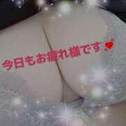 ヒメ日記 2025/09/27 19:08 投稿 あやな 奥さまさくら京橋店