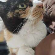 ヒメ日記 2025/05/08 17:16 投稿 及川 いずみ SUMIRE