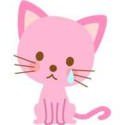 ヒメ日記 2025/06/07 14:45 投稿 及川 いずみ SUMIRE