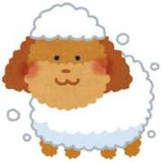 ヒメ日記 2025/03/26 00:23 投稿 ゆうみ ぽっちゃり巨乳素人専門横浜関内伊勢佐木町ちゃんこ