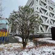 ヒメ日記 2026/02/08 14:06 投稿 ゆうみ ぽっちゃり巨乳素人専門横浜関内伊勢佐木町ちゃんこ