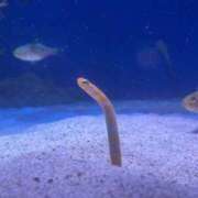 ヒメ日記 2025/09/05 12:58 投稿 ゆず 熟女の風俗最終章 高崎店